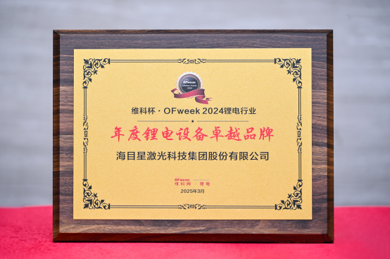 維科網(wǎng)獎牌.png