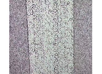 濕法后效果圖
